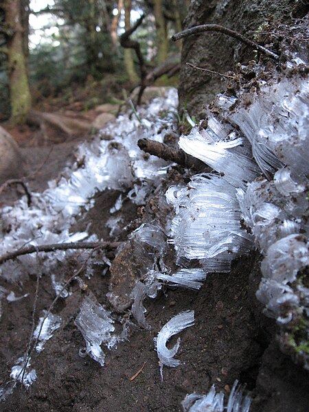 File:Ground Ice Curls.jpg