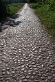 Cobblestone road from Guzów to Oryszew, Poland