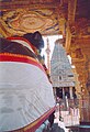 The Nandi, with the [vimana] in the background