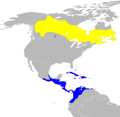      Nidificación      Invernada