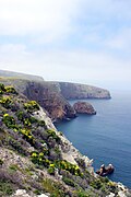 Santa Cruz Island in the spring.