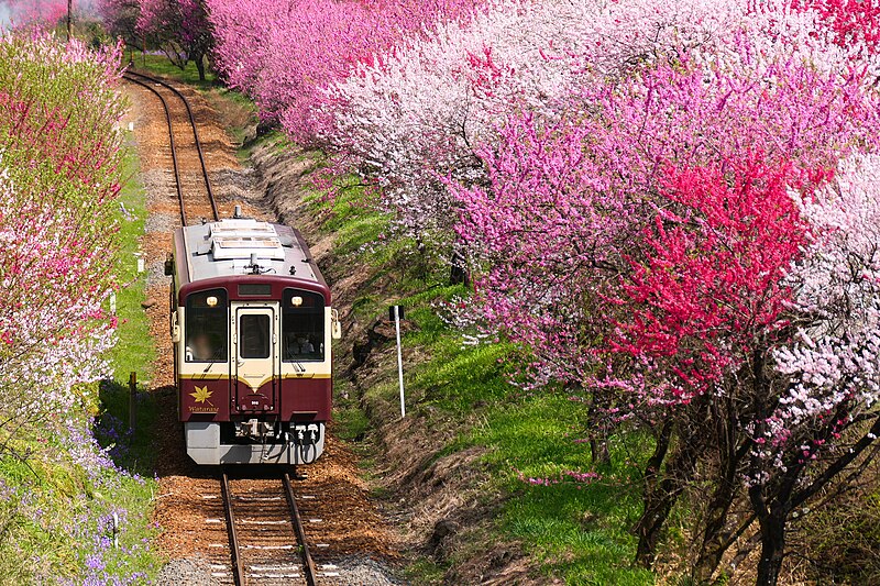 File:Watarase-keikoku-Line WKT502.jpg