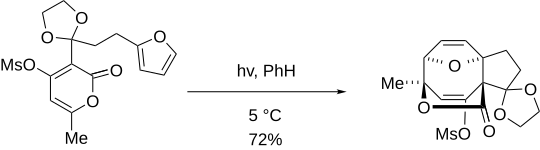 English: 4-mesyloxypyran-2-ones with pendent furans occurred with high exo selectivity, displaying stereochemical control exists in 4+4 photocycloaddition reactions.