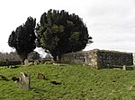 Donaghrisk old graveyard - County Tyrone