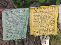 Close-up of a Lung ta ("Wind Horse") prayer flag, Ladakh, India.