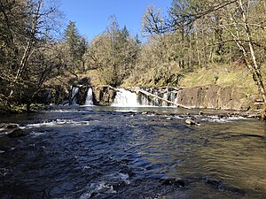 Looking upstream towards the falls