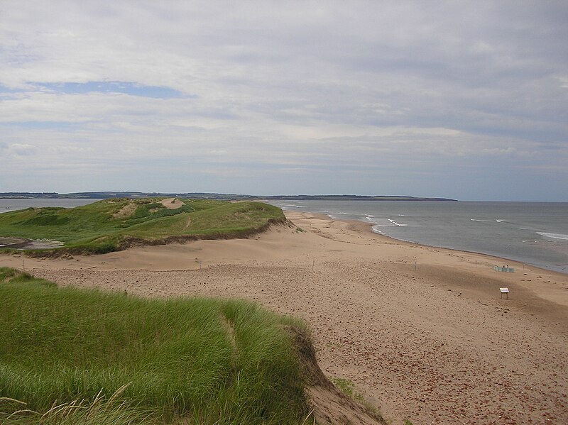 File:Sand duns and beach.JPG