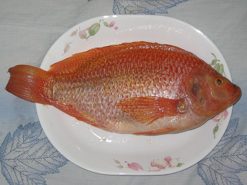 Archivo:Tilapia food dish.jpg