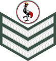 Staff sergeant (Ugandan Land Forces)[42]