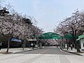 Incheon Grand Park