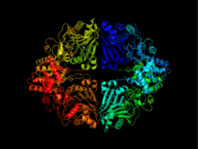 ATase crystal structure.png