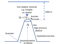 Iron-Sulphur minerals like Greigite catalyse the reduction of carbon dioxide in hydrothermal vents to make Krebs cycle intermediates.[246]