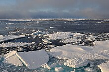 Patches of roughly broken white ice are distributed throughout dark blue water. A blue sky with gray clouds is present in the background of the image.