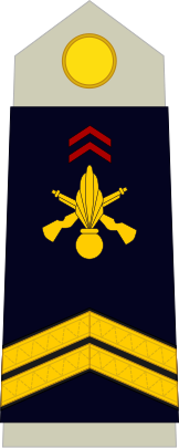 File:Army-FRA-OR-05.svg