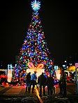 Christmas tree, Plaza, Las Cruces, New Mexico, US