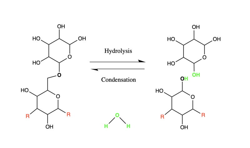 File:Hydrolysis Condensation reaction.png