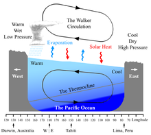 Diagram showing a cross-section of the Pacific and related phenomena