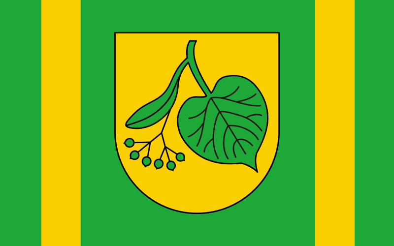 File:POL gmina Lipka flag.svg