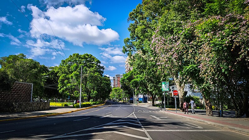 Archivo:Streets in Guatemala City.jpg