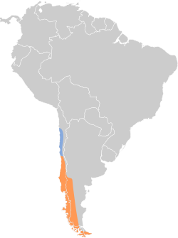 Distribución geográfica del diucón.