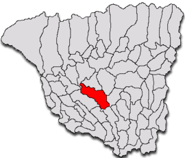 Location in Gorj County