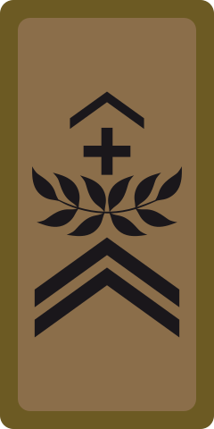 File:CH OR-6 camo.svg