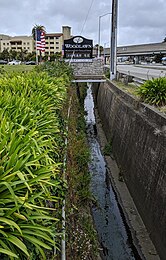 On the west side of El Camino Real in front of Woodlawn Memorial Park, Colma, looking northwest