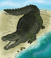 Deinosuchus hatcheri