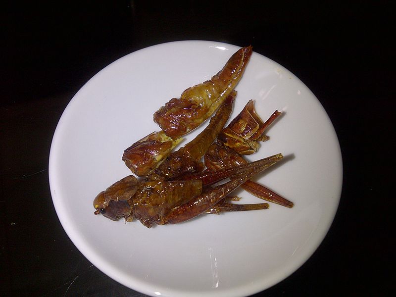 File:Fried grasshoper.jpg