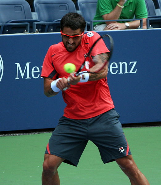 File:Janko Tipsarevic (SRB).jpg