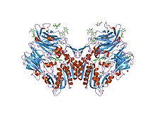 PDB 2p8s EBI.jpg