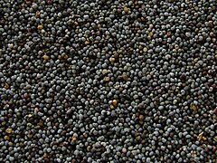 Opium poppy (Papaver somniferum) seeds