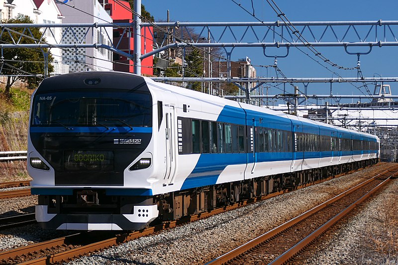 File:Series-E257-2000 NA05 Odoriko-EXP.jpg