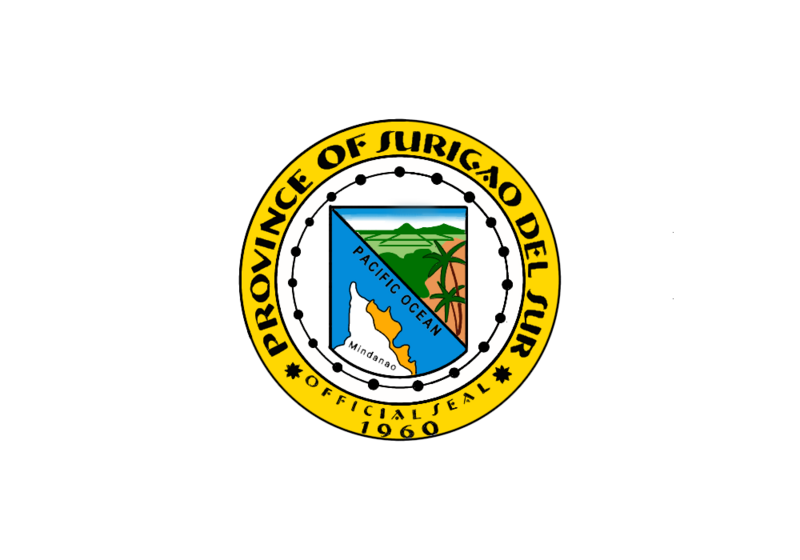 File:Surigao del Sur Flag.png