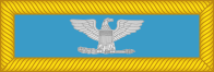 File:US Army O6 (1861).svg