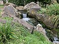 Waterfall in the Japanese Garden