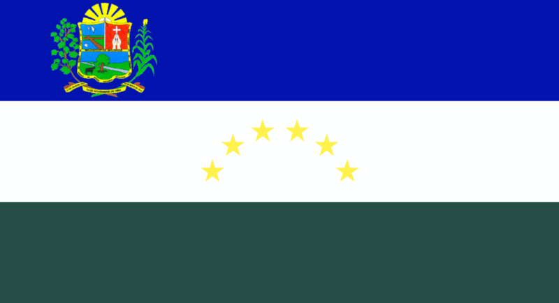 Archivo:Bandera de Muñoz (Apure).png