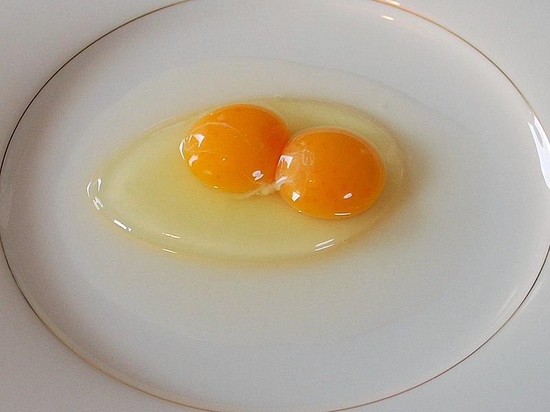 File:Chicken egg02 binovular.jpg