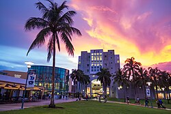 Several modern buildings in the distance of a landscaped plaza with palm trees at sunset