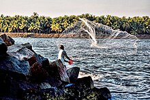 Kerala fisherman.jpg