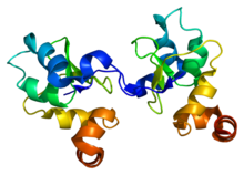 Protein BIRC3 PDB 2uvl.png