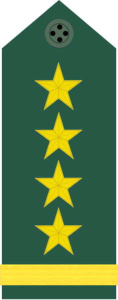 File:Taiwan-army-OF-9b(New).png