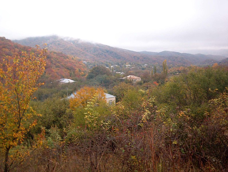 Файл:Village gombori.jpg