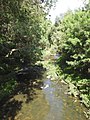 Kedron Brook looking downstream (2021).