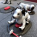 Японская суперробособака Aibo