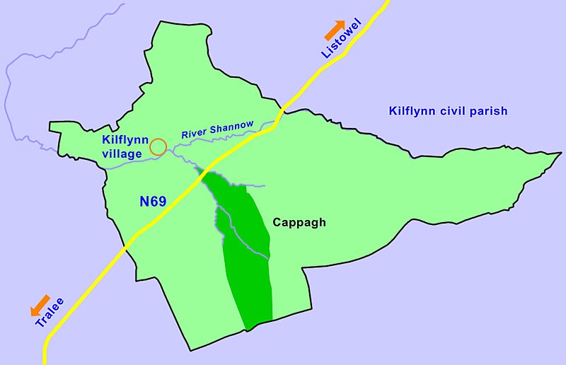 File:KilflynnTownland Cappagh DMarshall2017.jpg