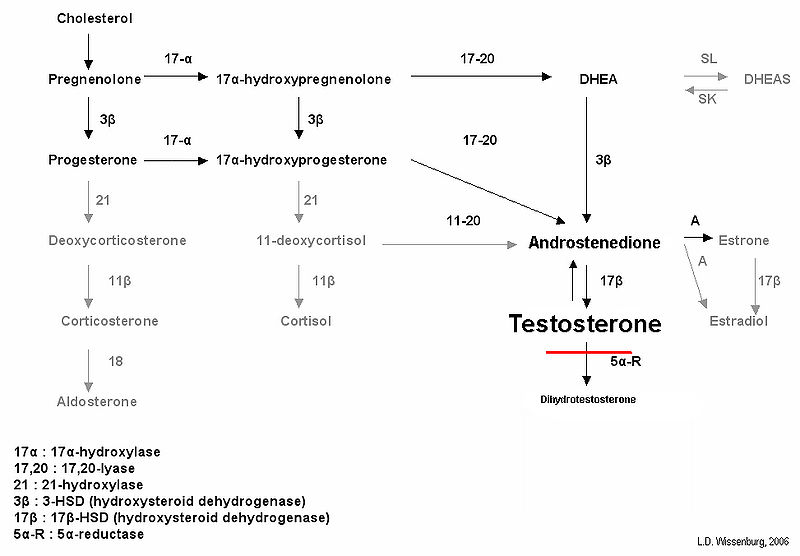 File:Test biosynth 5ARD2.jpg