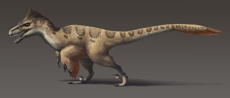 File:Utahraptor updated.png