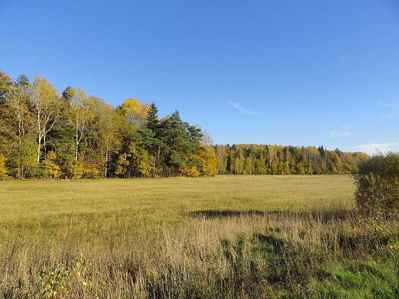 Файл:Barbarova, Babrujsk District 03.jpg