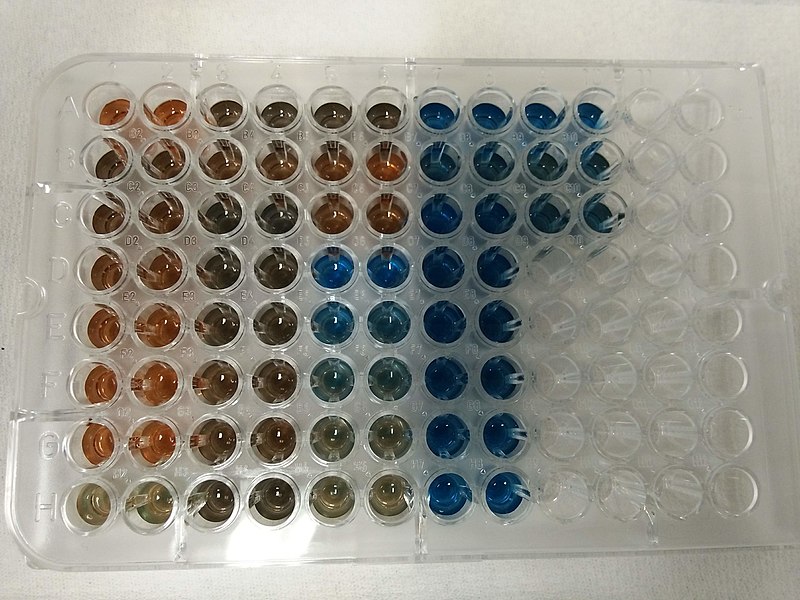 File:Bradford protein assay.jpg